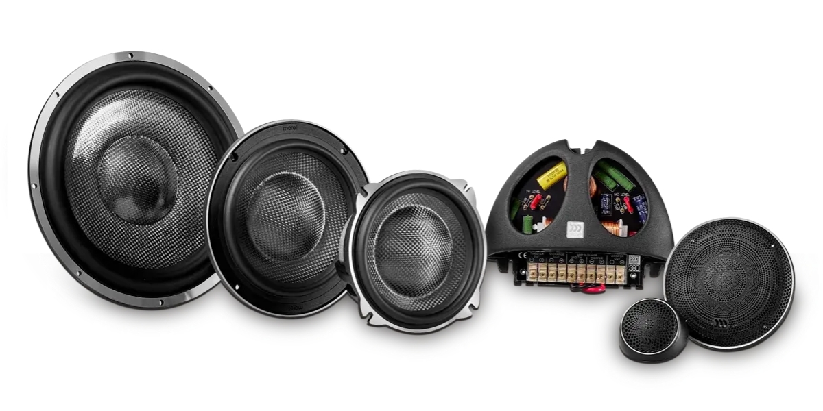 Morel Stock News Image